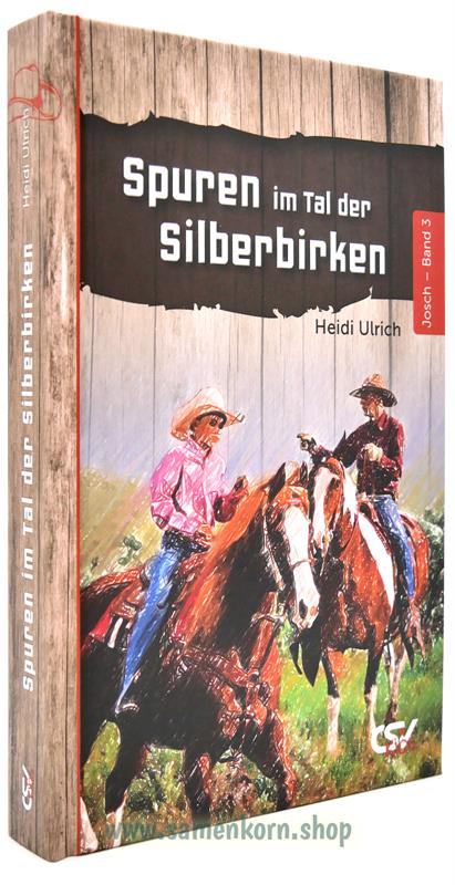 Spuren im Tal der Silberbirken / Buch 3
