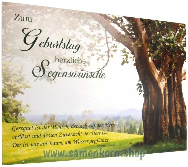 Postkarte "Zum Geburtstag herzliche Segenswünsche" Jer. 17,7-8