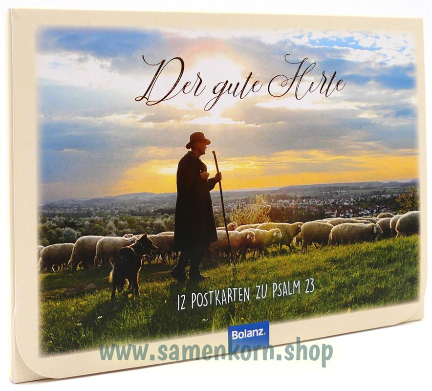 Postkartenbox "Der gute Hirte"