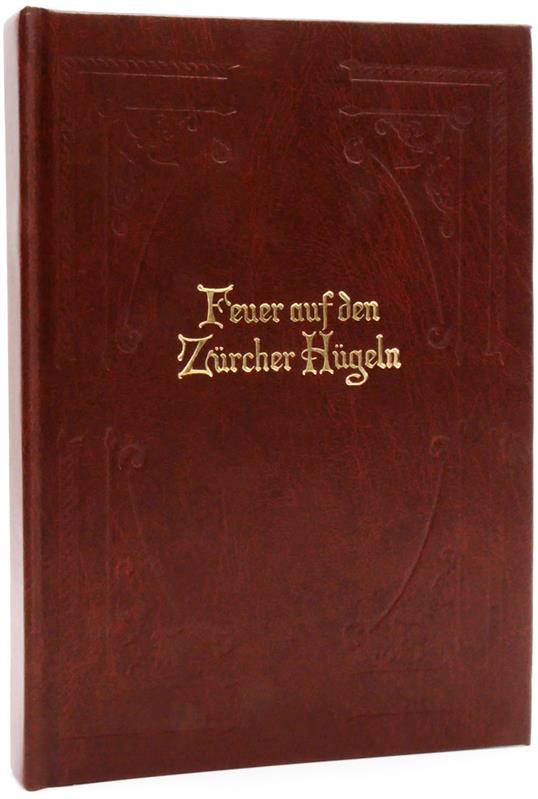 Feuer auf den Zürcher Hügeln / Buch