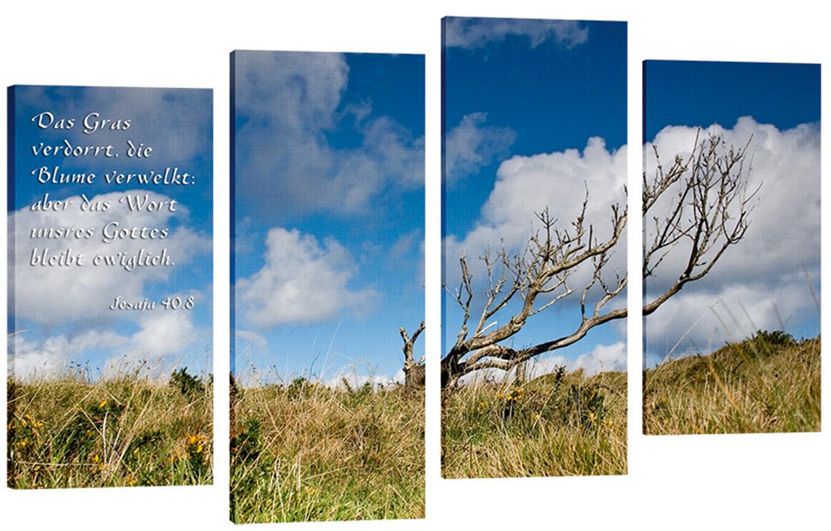 Bild "Der dürre Baum"