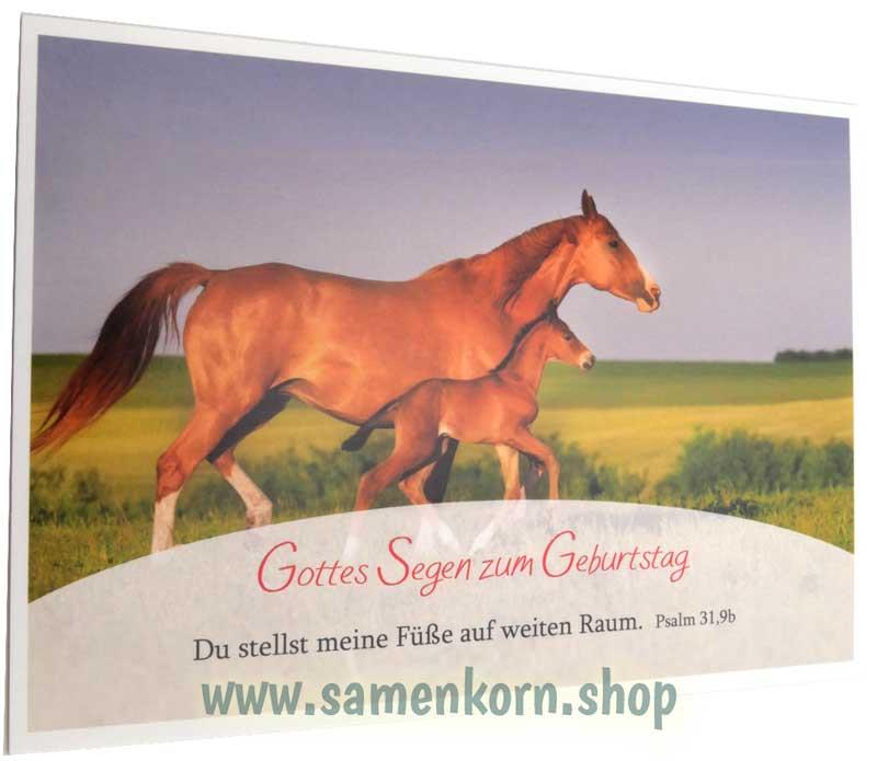 Postkarte zum Geburtstag Ps. 31,9