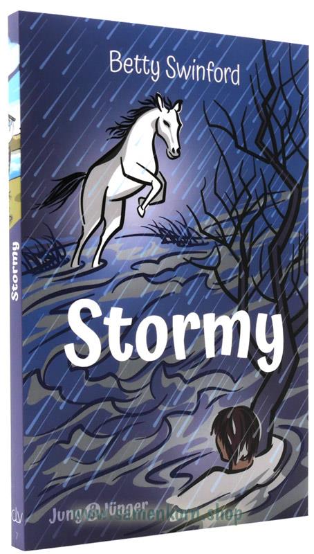 Stormy - Reihe "Jung&Jünger", Band 7 / Buch