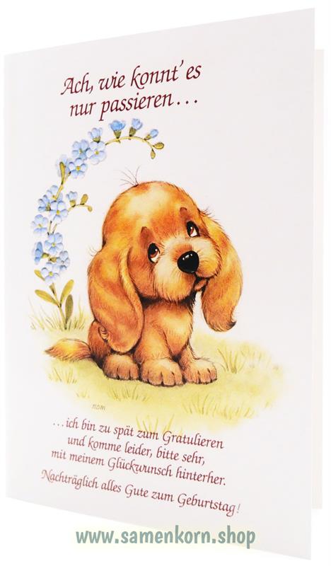 Doppelkarte zum Geburtstag - nachträglich