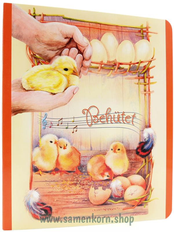 Pappbuch Behütet / Buch