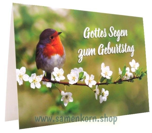 Doppelkarte "Gottes Segen zum Geburtstag"