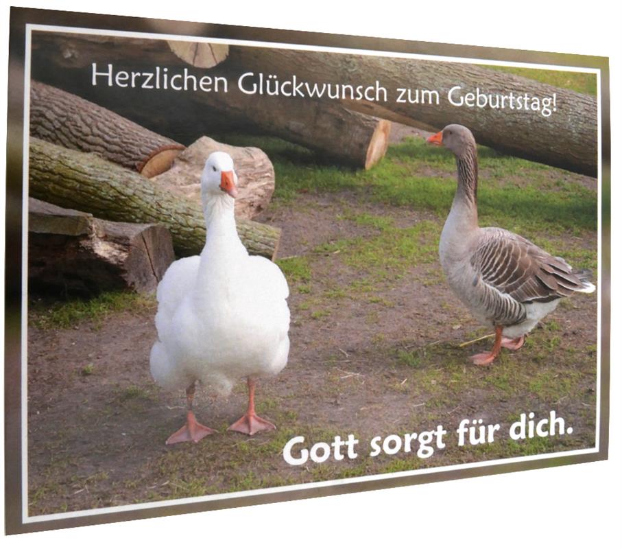 Postkarte "Gott sorgt für dich"