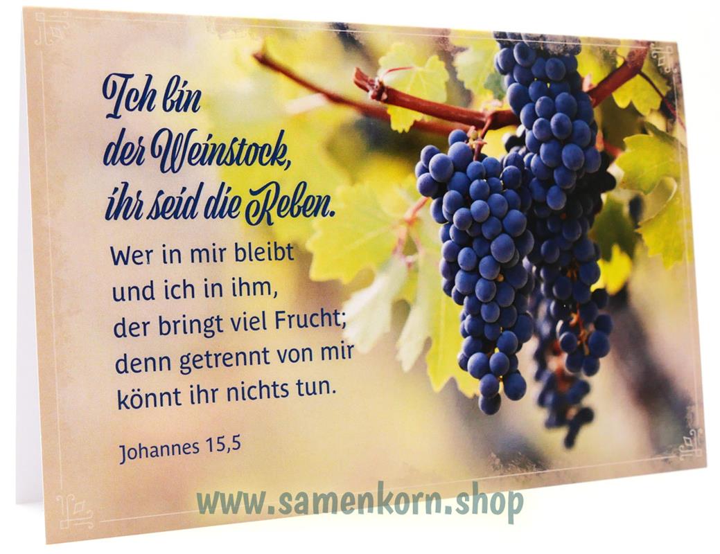 Faltkarte "Ich bin der Weinstock"